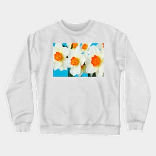 Narcissus  &#39;Barrett Browning&#39;   Division 3  Small-cupped  Daffodil Crewneck Sweatshirt